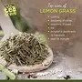 Organic Lemon Grass Leaves (100 gm) dried for Tea and cooking | Cut & Sifted | Steep as Hot dried lemon grass tea or Iced Herbal Lemongrass Tea | Caffeine Free Tea, 3 image