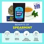 Spearmint Tea Loose Leaf with Loose Tea Filter Help Cure Hormonal Acne Facial Hair Due to PCOS | Steep as Hot Spearmint Herbal Tea or Iced PCOS Tea | Caffeine Free (25 Gm 25 Cups), 4 image