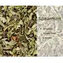 Spearmint Tea Loose Leaf with Loose Tea Filter Help Cure Hormonal Acne Facial Hair Due to PCOS | Steep as Hot Spearmint Herbal Tea or Iced PCOS Tea | Caffeine Free (25 Gm 25 Cups), 5 image