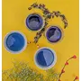 Butterfly Pea Flower Tea with Lemongrass for Skin Glow and Brain Health (20 GMS) | Steep as Hot Purple Tea or Iced Blue Tea for Weight Loss | Caffeine Free (40 Cups), 6 image