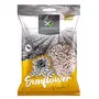 Raw Sunflower Seeds Protein and Fibre Rich Superfood - 250g. All Premium - (Pouch Pack).
