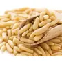 Lebanon Pine Nuts 200g | Chilgoza (Pack of 100g + 100g ). [Jar Pack]., 3 image