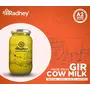 Bilona Gir Cow Ghee | 1 Litre | Traditional Bilona Method | Cultured | Premium | Immunity Booster | Pure | Natural | Healthy | Fresh | Lactose and gluten free | Keto Friendly | Glass Bottle, 5 image