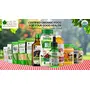 Bliss of Earth 500gm USDA Ceylon Cinnamon Powder Organic For Weight Loss Drinking & Cooking Dal Chini Powder, 6 image
