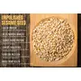 Bliss of Earth USDA Organic Unpolished White Sesame Seeds 600 gm For Eating Raw Til Seeds, 3 image