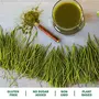 Bliss of Earth USDA Organic Wheatgrass Powder | 100GM | 33 Servings | Super Food Dietary Supplement | Rich in VIT A & B | Non GMO | Gluten Free |, 5 image
