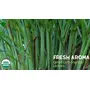 Bliss of Earth Organic Full Length Lemongrass Leaves Healthy Green Tea 100GM, 2 image