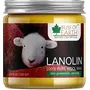 Bliss of Earth 100% Pure Golden Lanolin Natural Wool Wax For Soothing Sore Nipples 2x100GM (Pack Of 2), 2 image