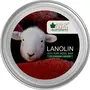Bliss of Earth 100% Pure Golden Lanolin Natural Wool Wax For Soothing Sore Nipples 2x100GM (Pack Of 2), 5 image