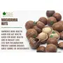 Bliss Of Earth Combo Of Healthy Macadamia Nuts And Brazil Nuts Selenium Rich Super Nut For Eating (Pack Of 2x200gm), 4 image