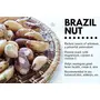 Bliss Of Earth Combo of Healthy Brazil Nuts Selenium Rich Super Nut (500gm) and Finest Assam Masala Chai Blended CTC Leaf Infused with 20 Real Herbs & Spices (400gm) Pack of 2, 4 image