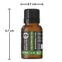 Helichrysum Essential Oil - 15 ML by, 3 image