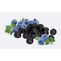 Dried Blueberries Whole - 1 KG, 3 image