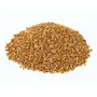 Alfalfa Seeds - 200 GM, 3 image