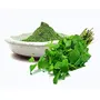 Holiy Natural Mint Powder - 100 GM, 3 image