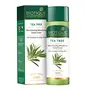 Biotique Tea Tree Skin Clearing Mattifying Facial Toner for Normal to Oily Skin Face Toner 120ml | Treats Acne & Pimples Tightens Pores