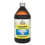 Sandu Pharmaceuticals Ltd Saraswatarishta (450Mls) | al Ayurvedic Nervine Tonic