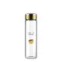 Freelance Borosilicate Ambrosia Grape Fruit Glass Water/Beverage Fridge Bottle (600 ml)