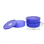 Signoraware Round Big Classic Lunch Box Set of 1 Deep Violet, 6 image
