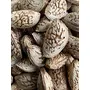 Kashmiri Kagzi Mamra Almonds with shell 2kg, 3 image