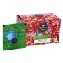 Karma Kettle Zen Collection Green Tea with Lychee and Rose - Assam Green Tea Lychee And Rose Petals ( 20 Silken Pyramid Teabags , 40 gms )