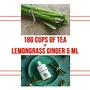 Lemongrass Ginger Natural Extract | for Tea Soups Shakes and Beverages | 5 ml ( Pack of 5 x 180 Drops), 6 image