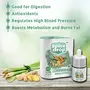 Lemongrass Ginger Natural Extract | for Tea Soups Shakes and Beverages | 5 ml ( Pack of 3  x 180 Drops), 3 image