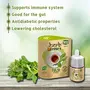 Herb Brews Tulsi  Extract for Immunity |Immunity Booster | Instant use for Health and Wellness | 5ml ( 180 Drops), 4 image