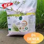 Emmer Wheat Flour - 100% Khapli Atta (2kg Pack), 3 image