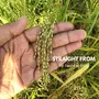 Sona masoori Brown Rice (1 KG Pack), 5 image