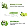 WOW Skin Science Rosebay Extract & Tea Tree Essential Oil Anti-Dandruff Hair Mask 200mL, 6 image