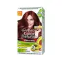 Garnier Color Naturals Creme Hair Color Shade 4.20 Wine Burgundy and Color Naturals Creme Hair Color Shade 6.60 Intense Red 70ml + 60g, 8 image
