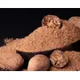 Nutmeg Powder - 100 Grams, 4 image