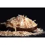 Dehydrated White Onion Flakes, 400 gram, 4 image