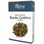 TRIPHAL Bada Gokhru or Large Caltrops | Sorted & Clean | Powder -100Gm