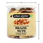 Brazil Nutsdryfruit , 250 Gm (8.82 OZ), 5 image