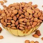 Urban Platter Apricot Kernels 500g (Rich in Protein & Fiber Stored in Refrigeration for Long Lasting Freshness), 2 image