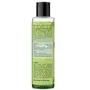 Ayuryuga Tea Tree & Neem Foaming  | 100 ml | Face Cleanser | Purifies Skin | Anti Oxidant Face Wash (100 ml), 2 image