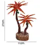 SATYAMANI Natural Carnelian Double Coconunt Tree for for Good Luck Wealth & Prosperity Hapess & Fengshui He & Office DÃ©cor Fengshui, 4 image