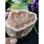 Petrified Wood Stone Natural Healing Stone 173 Gram Root Chakra GroundingCharging Crystal, 3 image