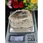 Petrified Wood Stone Natural Healing Stone 387 Gram Root Chakra GroundingCharging Crystal, 6 image