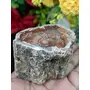 Petrified Wood Stone Natural Healing Stone 173 Gram Root Chakra GroundingCharging Crystal, 5 image