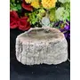 Petrified Wood Stone Natural Healing Stone 387 Gram Root Chakra GroundingCharging Crystal, 2 image