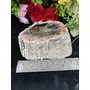 Petrified Wood Stone Natural Healing Stone 387 Gram Root Chakra GroundingCharging Crystal, 5 image