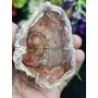 Petrified Wood Stone Natural Healing Stone 173 Gram Root Chakra GroundingCharging Crystal, 2 image