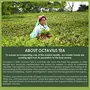 Octavius Classic Assam Black Tea - 100 Teabag pack of 1, 5 image