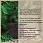 The Earth Reserve Neem leaves and Basil Blend | Handmade Natural Glycerin , 5 image