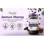 Farm Naturelle-Jamun Flower Wild Forest Honey, 100% Pure Jungle Honey| Organic Raw Natural Un-processed Honey - Un-heated Honey |Lab Tested Honey In Glass Bottle-850g+150gm Extra and a Wooden Spoon., 5 image