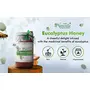 Farm Naturelle-Eucalyptus Flower Wild Forest (Jungle) Honey| Pure Honey, Raw | Natural Un-processed - Un-heated Honey | Lab Tested Honey, Glass Bottle-700g+75gm Extra and a wooden Spoon., 4 image