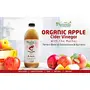 4 Organic Apple Cider Vinegar with Mother (Natural Infusion of Ginger &Turmeric & Fenugreek Ginger & Garlic) (4x500 Ml Glass) with 4x250 gm (AcaciaJamunTulsi & Forest Honey), 2 image
